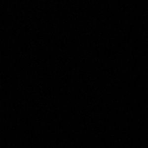 Meet your Posher, Eliana